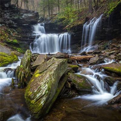 博鱼网页在线登录